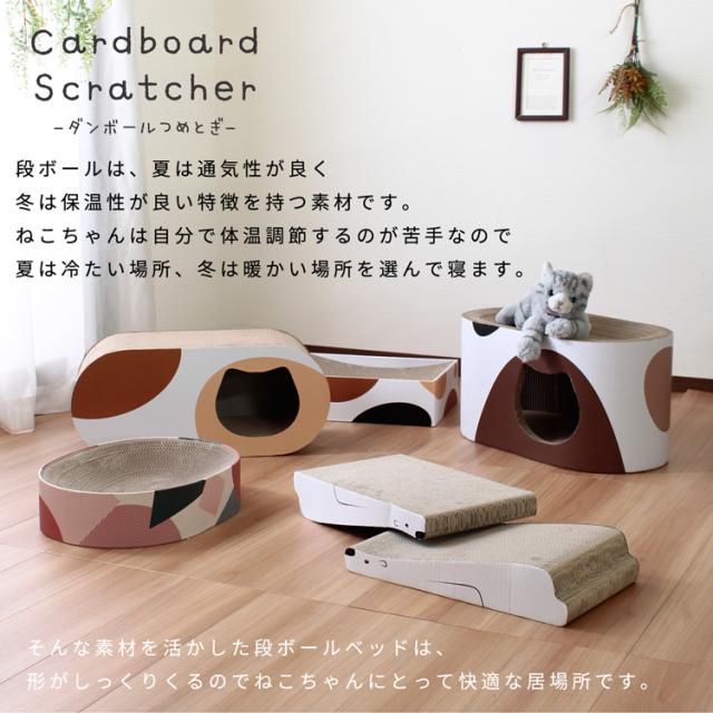 段ボールは快適な居場所