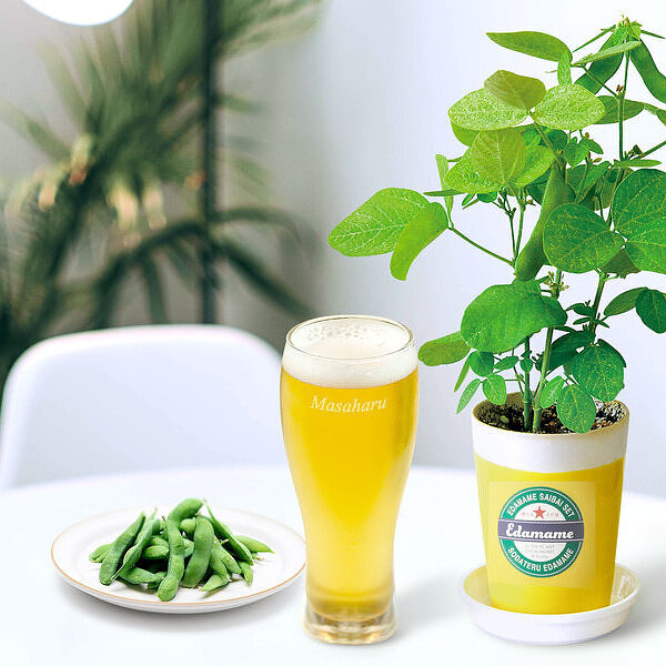 21新発 名入れタンブラー 名入れビールグラス 名入れ無料 名前入りタンブラーとえだまめ栽培キットのセット 父の日ギフトセット 輝く高品質な Carlavista Com 21新発 名入れタンブラー 名入れビールグラス 名入れ無料 名前入りタンブラーとえだまめ栽培キットのセット 父の日ギフトセット 輝く高品質な Carlavista Com
