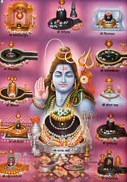 新品 シヴァ インド 神様 ポスター 本 ステッカー ポストカード 印刷物