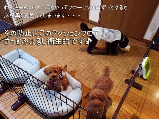 CES2329ラグ(Y)　ペット用ダイニングラグカーペット　消臭クッションフロアラグ　防炎　抗菌　日本製