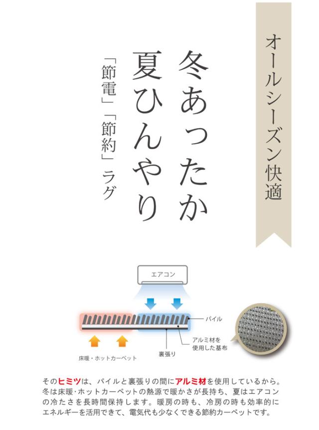 夏ひんやり冬あったか 節電・節約ラグ