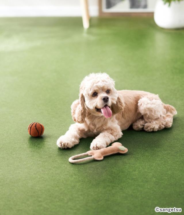 サンゲツ クッションフロア 芝生