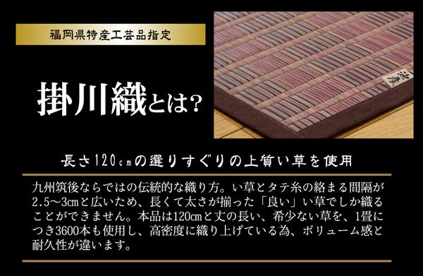 い草ラグ　鍋島(I)　花ござ　掛川織　純国産　二畳 2畳 2帖 174×174cm
