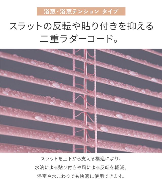 二重ラダーコード