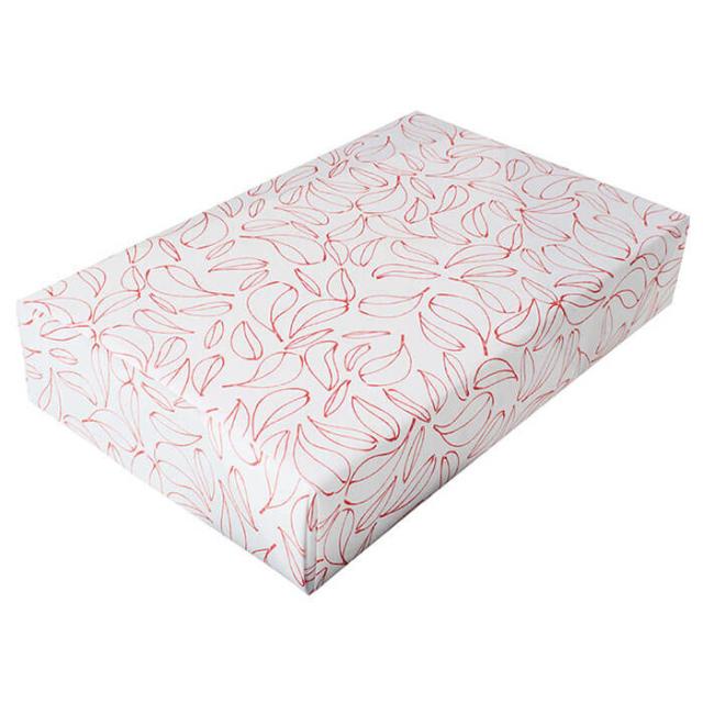 通常包装（赤）（オールマイティ）