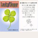 マルチカラー宝石ネックレス ラッキー 幸せカード付き 送料無料-1