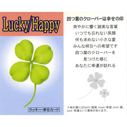 カラフル黄水晶幸運ブレス ラッキー 幸せカード付き 送料無料-2