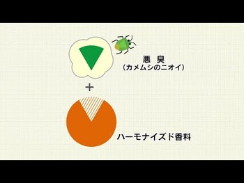 金鳥 カメムシキンチョール 300mL 5個セット 送料無料-5