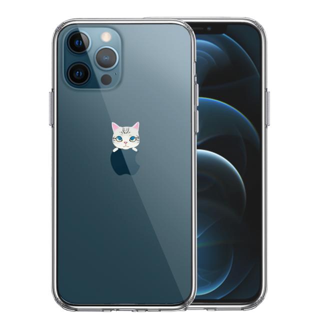 iPhone12Pro ケース クリア のっかり ネコ 2 スマホケース 側面ソフト 背面ハード ハイブリッド 送料無料-0