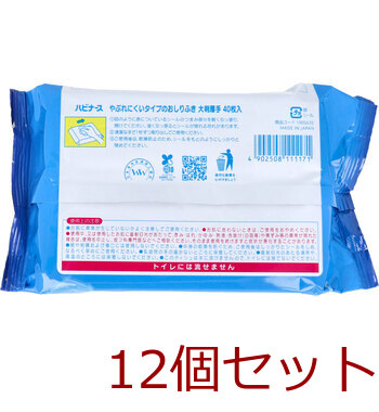 ハビナース やぶれにくいタイプのおしりふき 大判厚手 大人用 40枚入 12セット 送料無料-1
