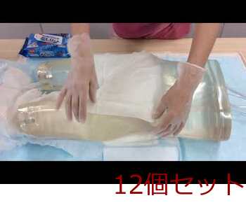 ハビナース やぶれにくいタイプのおしりふき 大判厚手 大人用 40枚入 12セット 送料無料-3