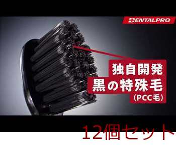 デンタルプロ ブラック 歯ブラシ コンパクト ふつう 1本入 12セット 送料無料-2
