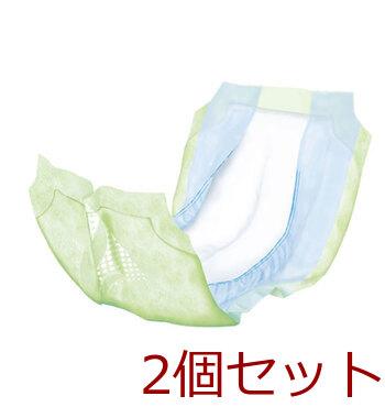 サルバ フレーヌケア尿とりパッド ナイトロング ３０枚入 2セット 送料無料-1