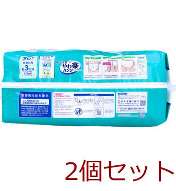 サルバ 安心うす型 やわ楽パンツ L-LLサイズ 20枚入 2セット 送料無料-3