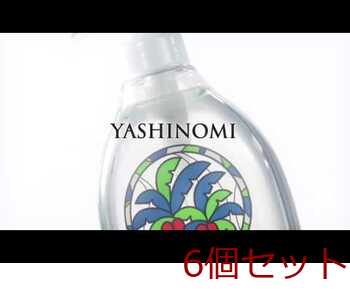 ヤシノミ洗剤 野菜 食器用 ポンプ付本体 ５００ｍＬ 1 ×6個セット 送料無料-2