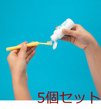 ピジョン 親子で乳歯ケア ジェル状歯みがき キシリトールの自然な甘さ 40mL 5個セット 送料無料-3