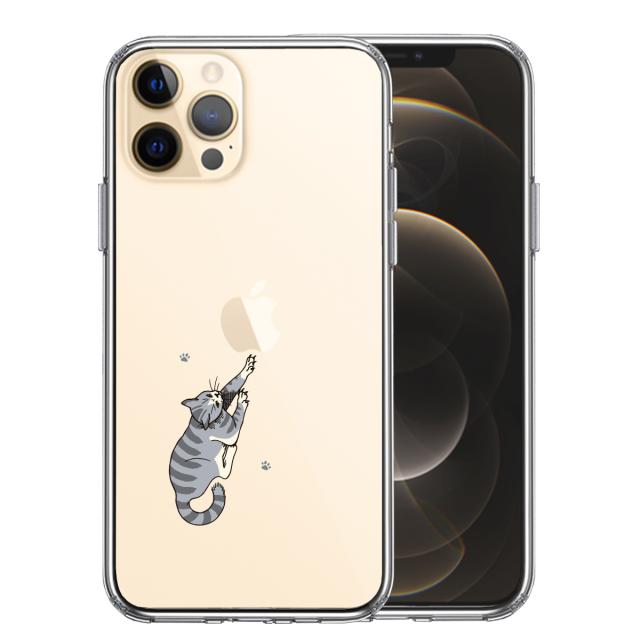 iPhone12Pro ケース クリア にゃんこ 猫 ねこ しましま スマホケース 側面ソフト 背面ハード ハイブリッド 送料無料-0