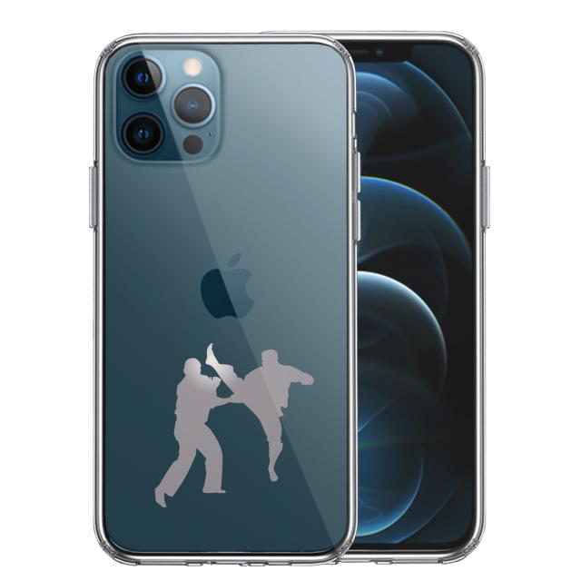 iPhone12Pro ケース クリア 空手２ グレー スマホケース 側面ソフト 背面ハード ハイブリッド 送料無料-0