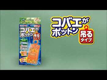 コバエがポットン 吊るタイプ お得な2セット入 5セット 送料無料-6
