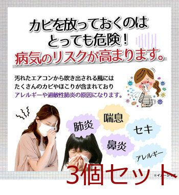 エアコンカビトルデス エアコンカビ取りスプレー 80mL 3個セット 送料無料-4