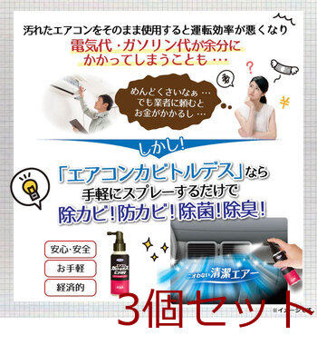 エアコンカビトルデス エアコンカビ取りスプレー 80mL 3個セット 送料無料-5