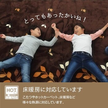 ラグ 約235×390cm 洗える 撥水 大きい コンパクト たためる なめらか ホットカーペット対応 オーバ 送料無料-7