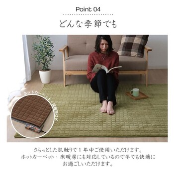 ラグ 約200×250cm 無地 もっちり mou ムー ラグ 送料無料-4