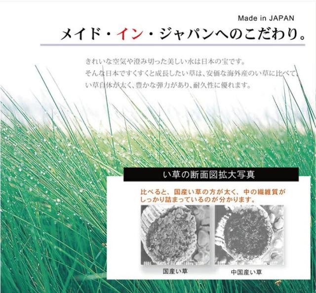 カーペット 純国産 い草花ござカーペット 約江戸間3畳 カイン 送料無料-6