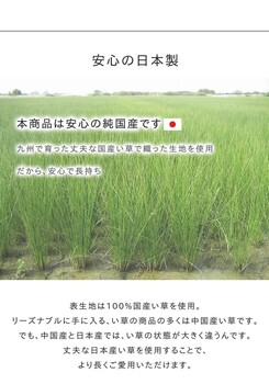 ラグ い草ラグ 約140×200cm おしゃれ 国産 カーペット Fウォール 送料無料-2