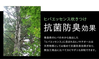ラグ い草ラグ 約140×200cm おしゃれ 国産 カーペット Fウォール 送料無料-4