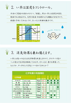 カーペット 純国産 い草花ござカーペット 約江戸間2畳 ラビアンス 送料無料-8