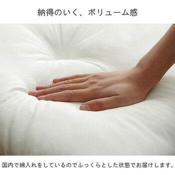 ヌードクッション 約55×59cm5P 国産 座布団 銘仙判 ヌード 送料無料-3