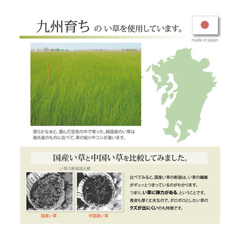 ベビー枕 まくら 約30×20cm 同色 い草枕 消臭 ピロー 国産 無地 ベビー キッズ さわやか 平枕 2個セット 送料無料-3