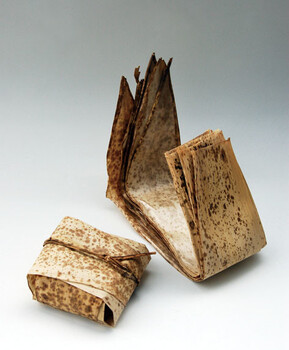 Naturalist たけかわ 10枚入 ひも付 ナチュラルキッチン 6セット 送料無料-3