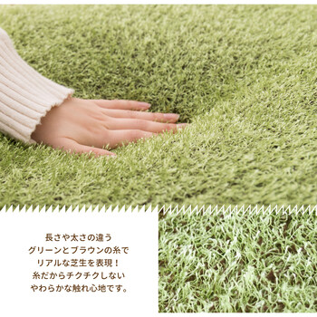 ふっくら贅沢な芝生クッション シーヴァ 直径約90cm 送料無料-2