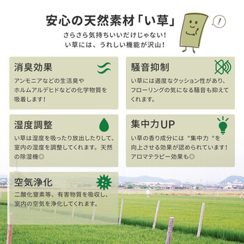 い草 純国産上敷き 江戸間10畳 双目織 天草 あまくさ 送料無料-4