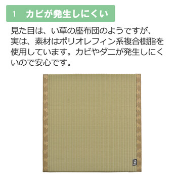 PO織込座布団 祇園 ぎおん グリーン 約55×55×H5cm 2セット 送料無料-2