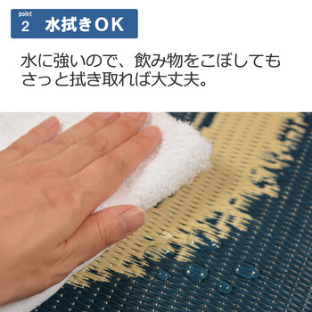 PO織込座布団円相 えんそう ブルー 約55×55cm 2セット 送料無料-6