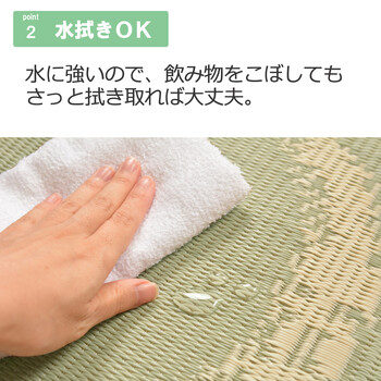 PO織込座布団 円相 えんそう グリーン 約55×55cm 2セット 送料無料-3