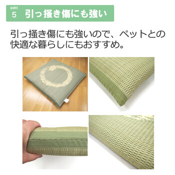 PO織込座布団 円相 えんそう グリーン 約55×55cm 2セット 送料無料-6