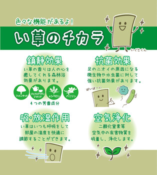 ラグ 国産 い草ラグ 裏貼無約200×250 コンパクト収納 エンペラー グリーン 送料無料-7