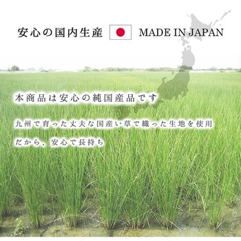 ラグ 純国産 国産 日本製 い草 抗菌防臭 自然素材 モダン DXカラフルブロック 約191×250cm 送料無料-8