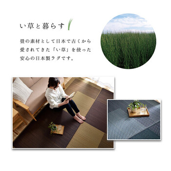 ラグ 夏用 い草 シンプル モーニング2 約191×250cm 送料無料-2