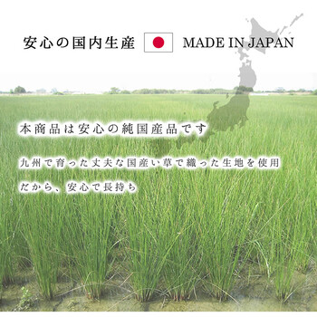 ラグ 正方形 夏用 ふっくら い草 シンプル DXモーニング2 約191×250cm 送料無料-6