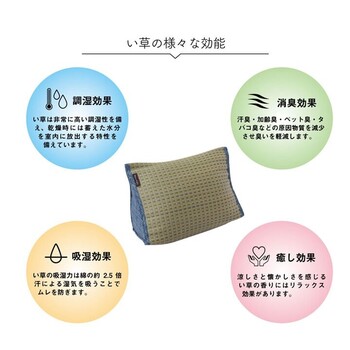 クッションくつろぎ い草 抗菌防臭 シンプル 小林製薬コバガード クリア ゆったりクッション 2個セット 送料無料-2