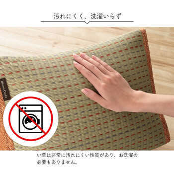 クッションくつろぎ い草 抗菌防臭 シンプル 小林製薬コバガード クリア ゆったりクッション 2個セット 送料無料-5