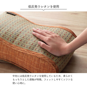 クッションい草 抗菌防臭 消臭 シンプル 小林製薬コバガード使用 クリア フィットクッション 2個セット 送料無料-5