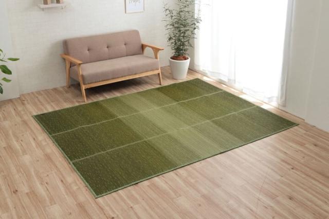 ラグ マット 約60×180cm 小林製薬 持続性抗菌剤 制菌 抗菌防臭 滑り止め 不織布 夏 い草 NCXクリア 送料無料-9