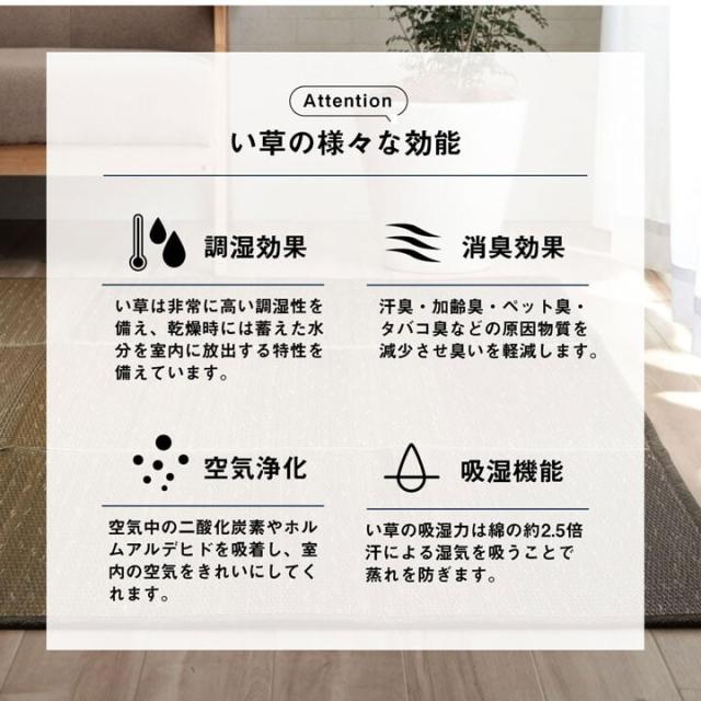 ラグ マット 約60×180cm 小林製薬 持続性抗菌剤 制菌 抗菌防臭 滑り止め 不織布 夏 い草 NCXクリア 送料無料-4