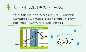 純国産 い草花ござ 江戸間6畳(約261×352cm) FUBUKI 送料無料-4